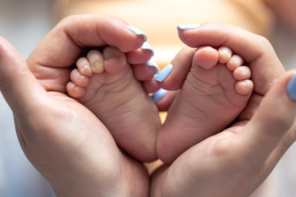 bonus nuovi nati 2026